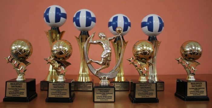 Miniturka artykułu: Turniej Piłki Siatkowej o Puchar Wójta rozstrzygnięty!