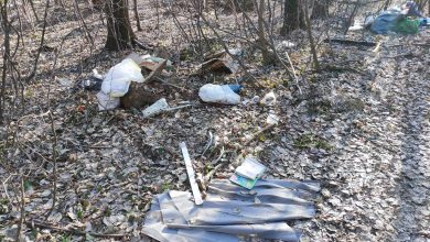 Miniturka artykułu: APEL DO MIESZKAŃCÓW O NIE WYRZUCANIE ODPADÓW W MIEJSCA NIEDOZWOLONE