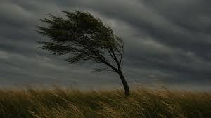 Miniturka artykułu: Ostrzeżenie   meteorologiczne